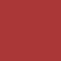 Layla Cosmetics Immoral Mat Lipstick No 13 Coral Resin - Ruj Intens Mat