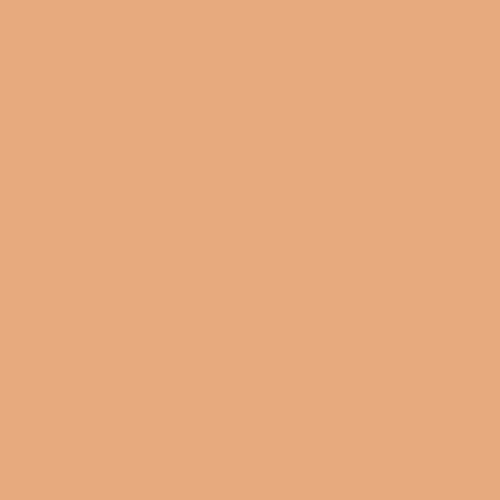 Layla Cosmetics Hide Correttore In Stick No 1 - Corector Tip Stick pentru Imperfectiuni